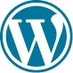 Website Audits WordPress