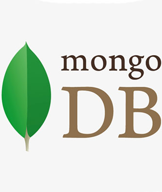 Mongo DB Development Expert