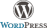 WordPress Custom Plugin Development