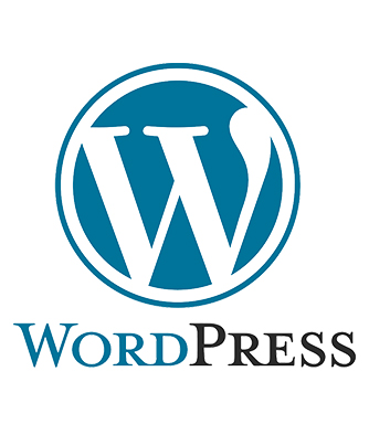 WordPress Custom Theme Developer