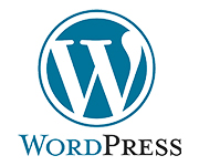 Experienced WordPress Developer