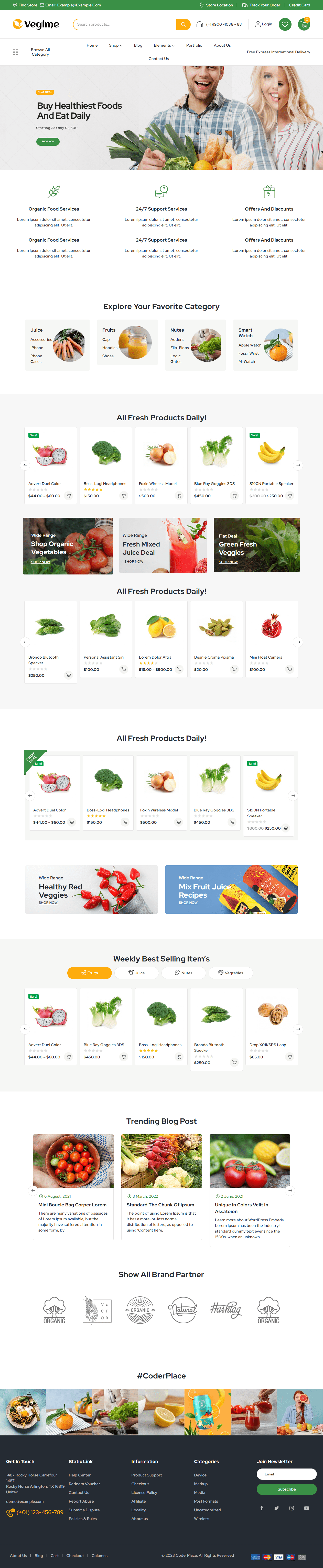 GroceriesFood Delivery-website-template-1
